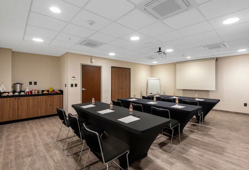 호텔 City Express Plus By Marriott Guadalajara Palomar