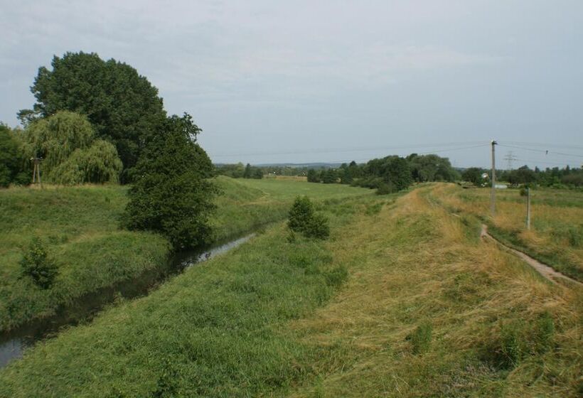 فندق Daisy Superior