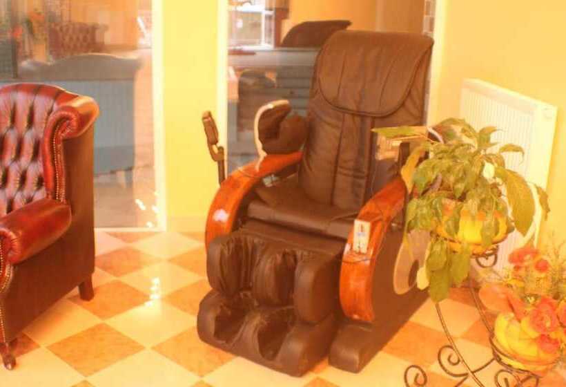 فندق Daisy Superior