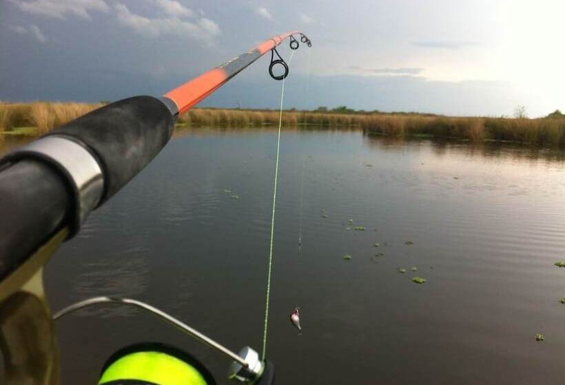 酒店 Estancia Río De Las Aves