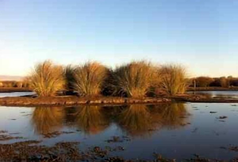 酒店 Estancia Río De Las Aves