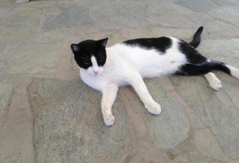 酒店 Krotiri Bay  Adults Only