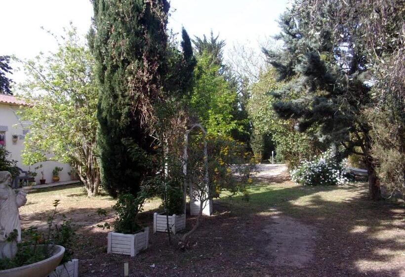 ホテル Mas Des Pins