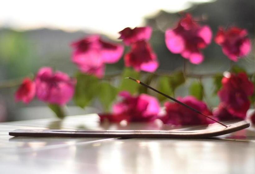 Miradas Arenal Hotel & Hotsprings