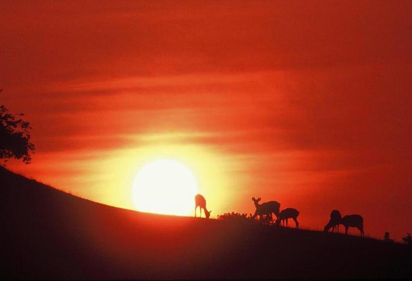 Отель Wakasa Annex