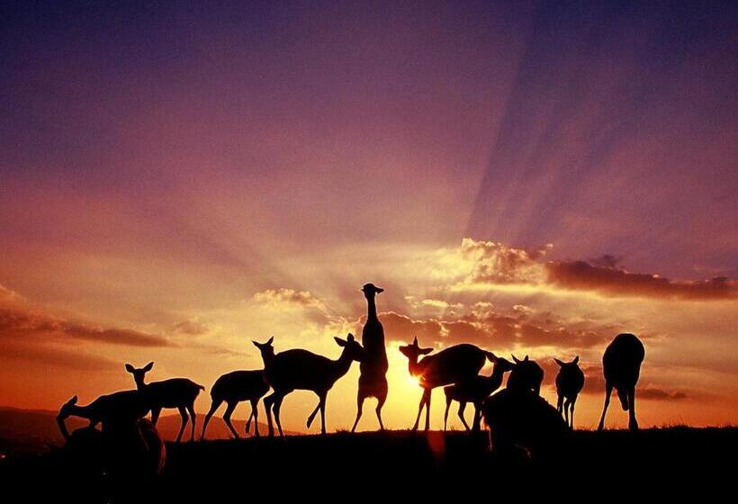 Отель Wakasa Annex