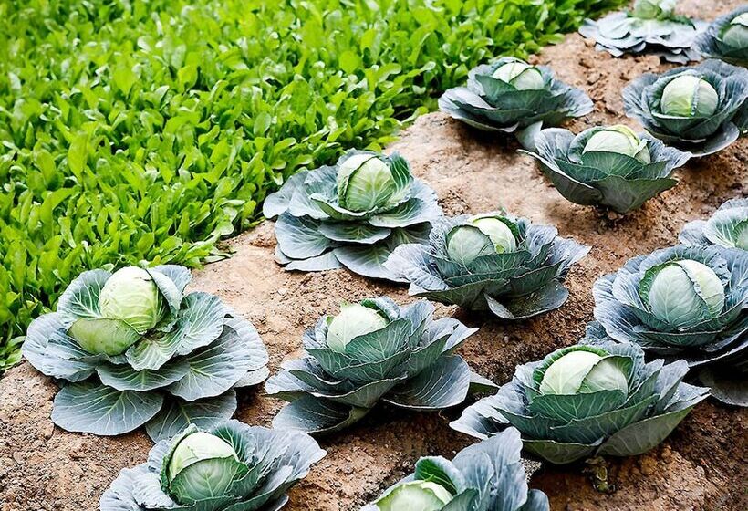 Pullman New Delhi Aerocity An Accor Hotels Brand