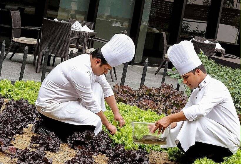 Pullman New Delhi Aerocity An Accor Hotels Brand