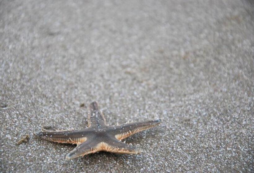 בית מלון כפרי Sunshine Paradise Resort