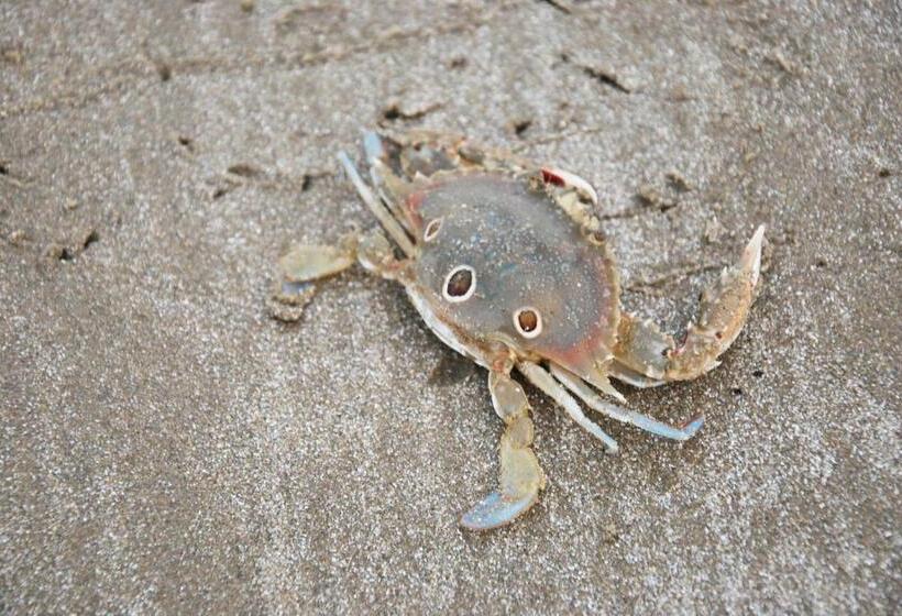 בית מלון כפרי Sunshine Paradise Resort