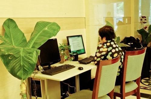Fotos del hotel Thanh Truong:  20