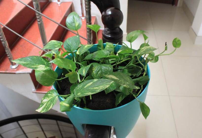 هتل The Alley Saigon