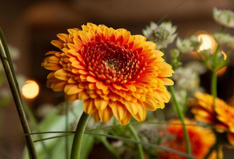 בית מלון כפרי The Kings Arms