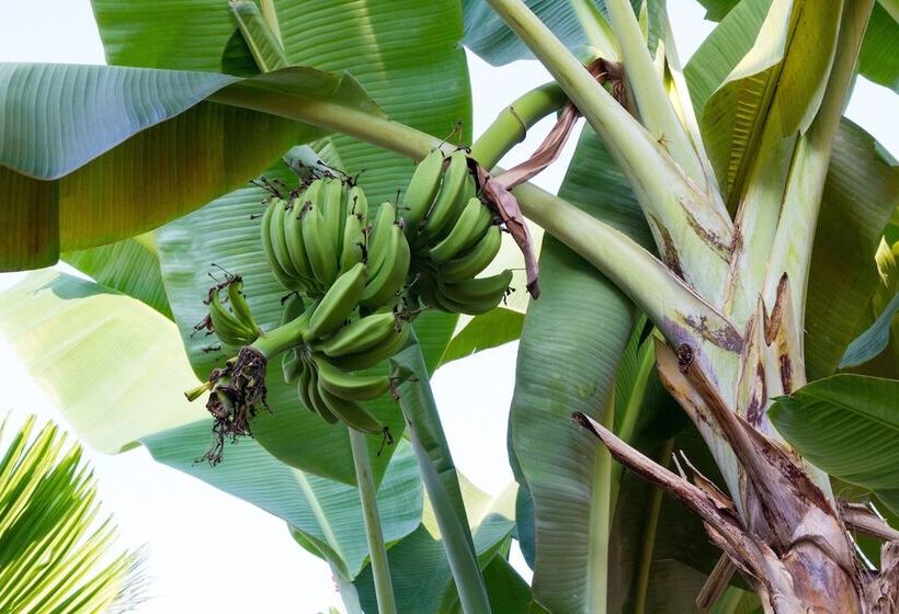 Mary Beach Hotel & Resort