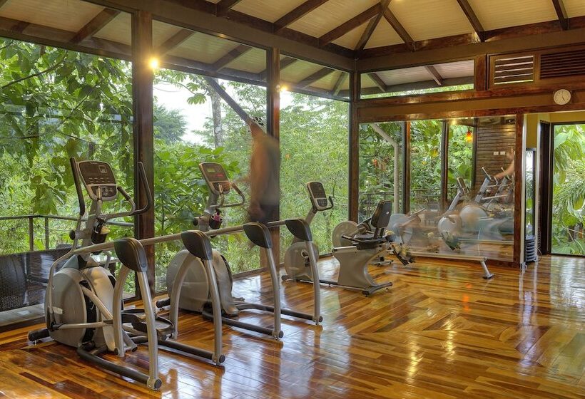 Nayara Springs  Adults Only