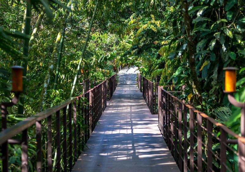 Nayara Springs  Adults Only