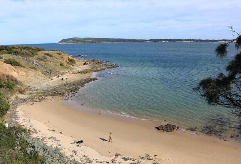 Pelicans Motel San Remo