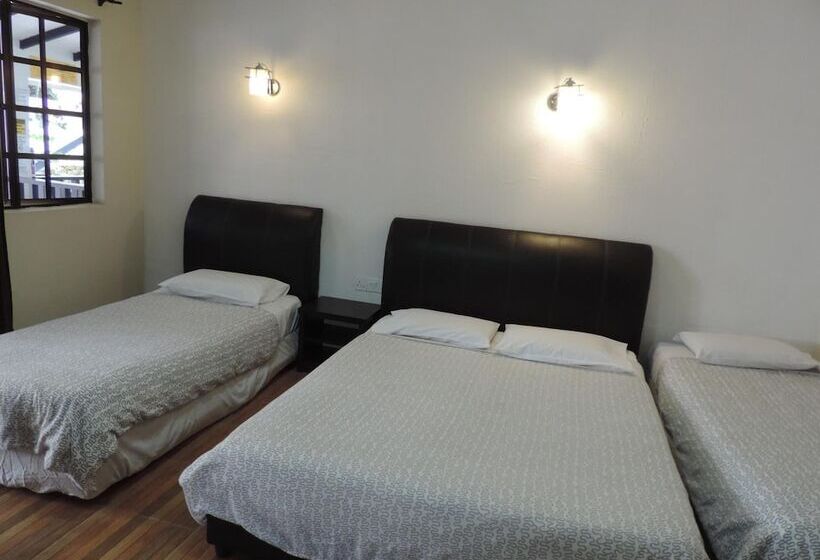 بنسيون Cameronian Inn