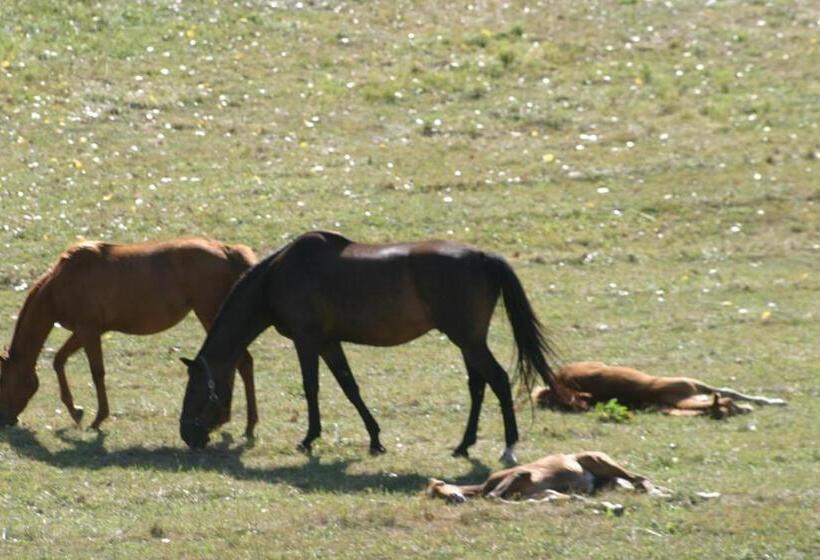膳宿费 Château Du Besset