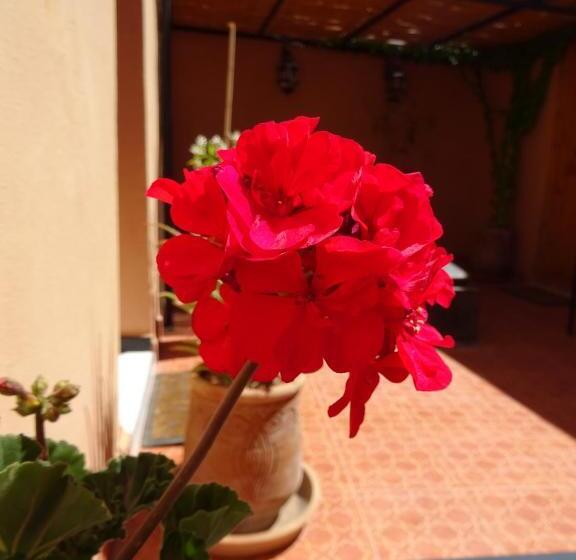 پانسیون Maison D Hôtes Dar El Nath