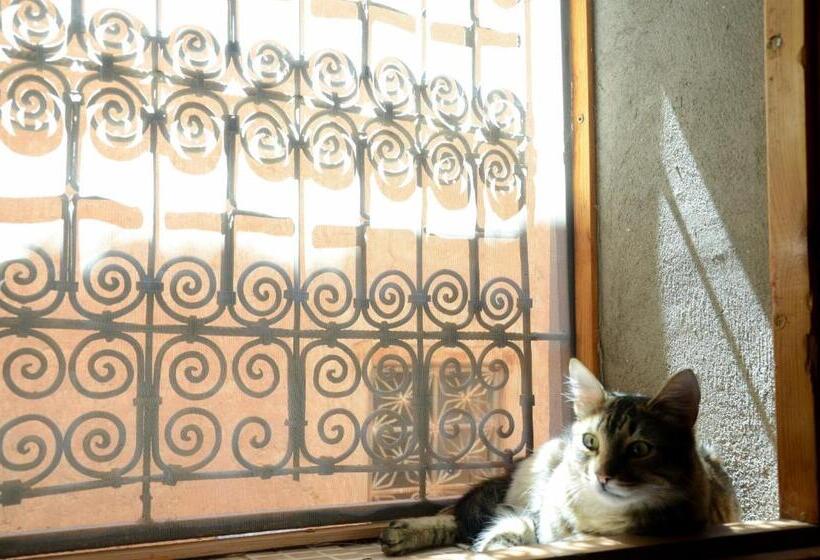 פנסיון Maison D Hôtes Dar El Nath