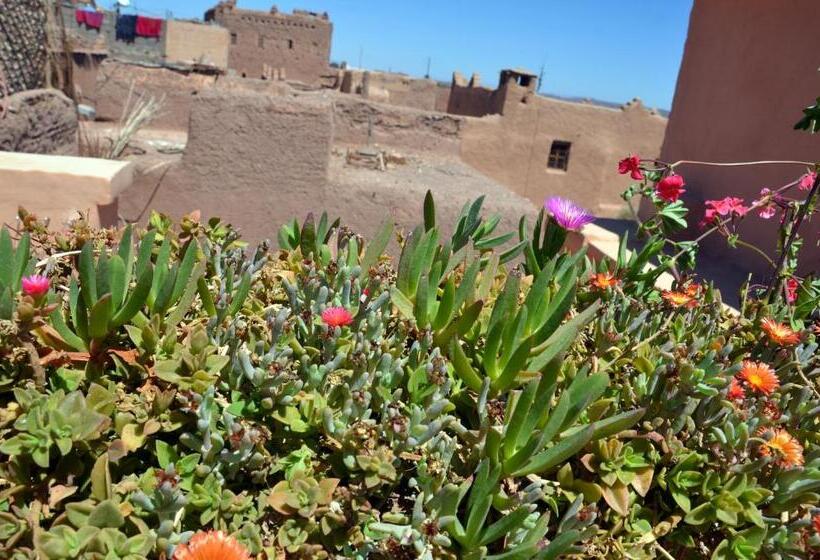 פנסיון Maison D Hôtes Dar El Nath