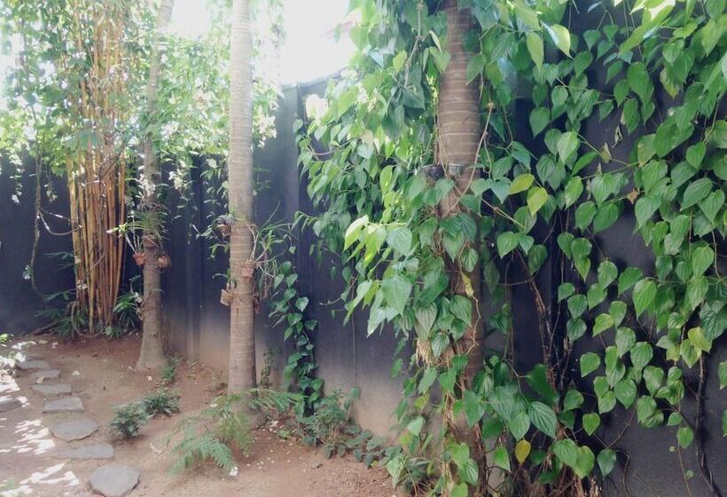 פנסיון Silvikris Villa