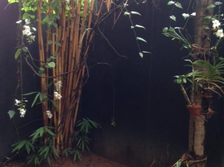 פנסיון Silvikris Villa