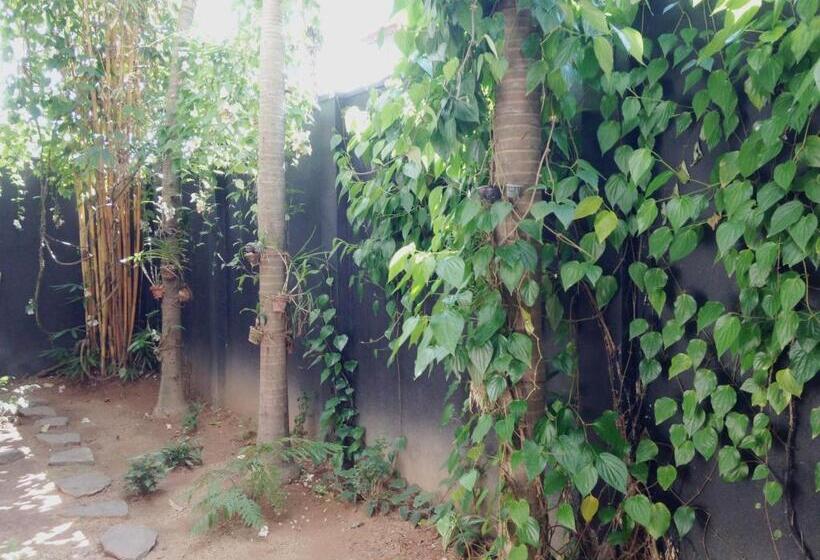 פנסיון Silvikris Villa