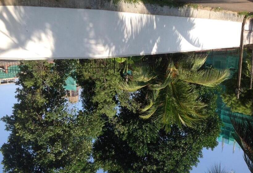 פנסיון Silvikris Villa