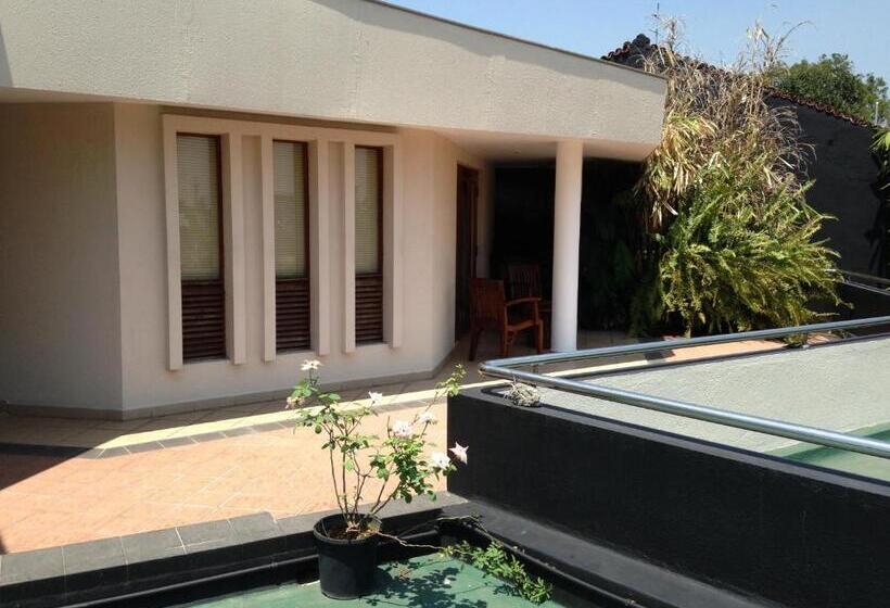 פנסיון Silvikris Villa