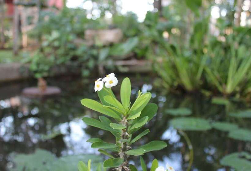 Real Mayab Hotel & Bungalows