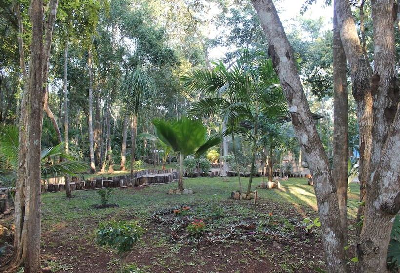 Real Mayab Hotel & Bungalows