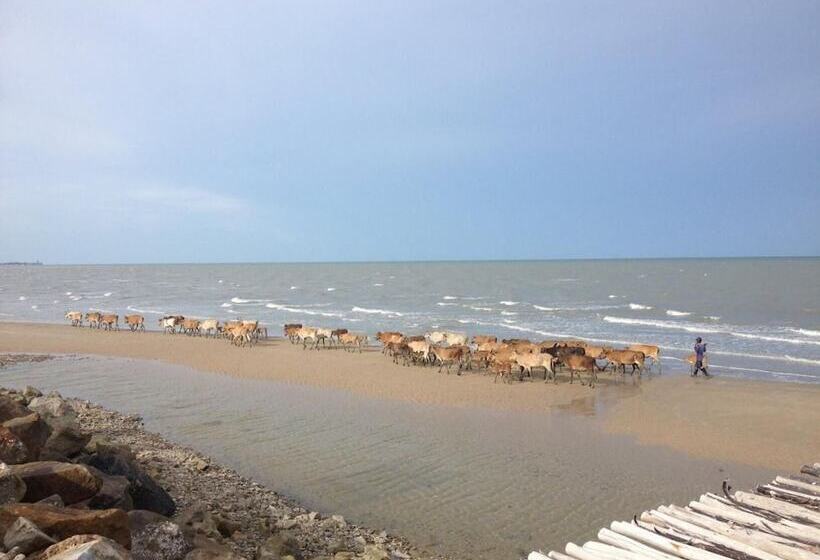 منتجع Red Z The Ocean