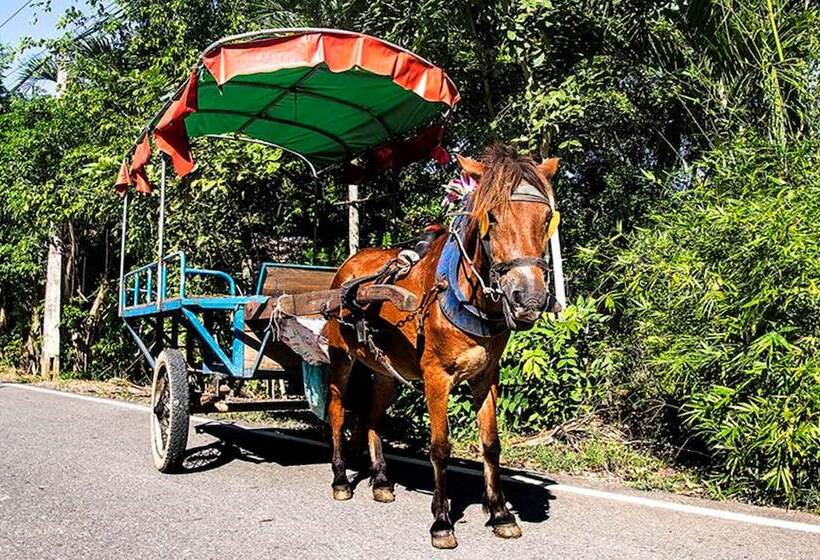 استراحتگاه The Island Lodge