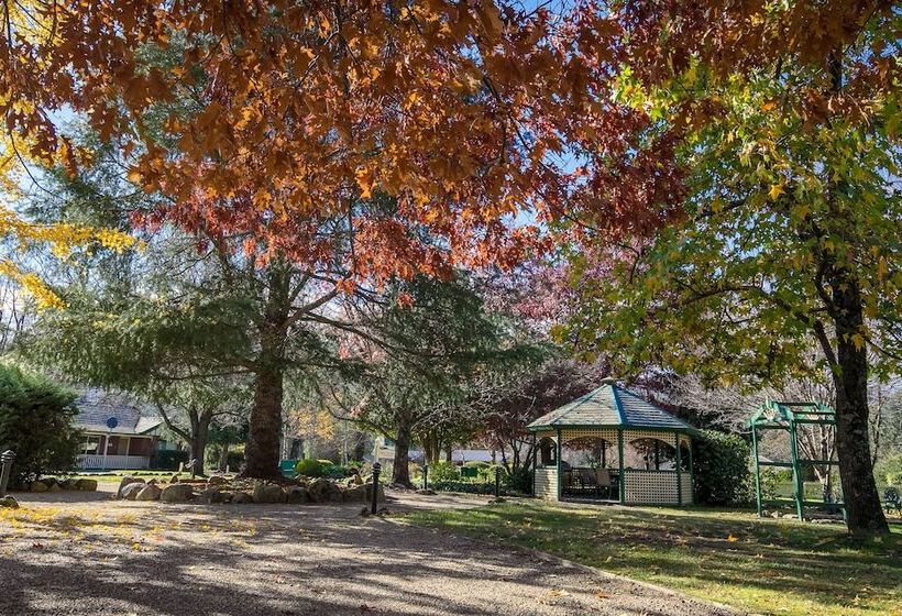 The Birch House   Silver Birches