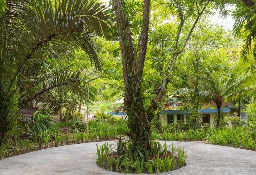 Thalassa Dive & Wellbeing Resort Manado