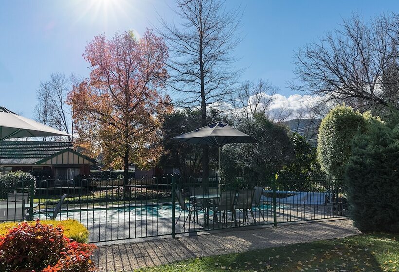 The Birch House   Silver Birches