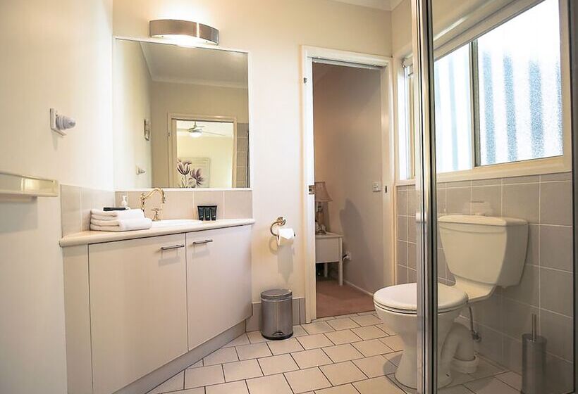 The Birch House   Silver Birches