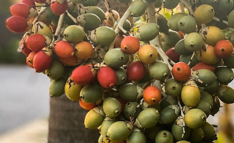 United Resort Yomitan