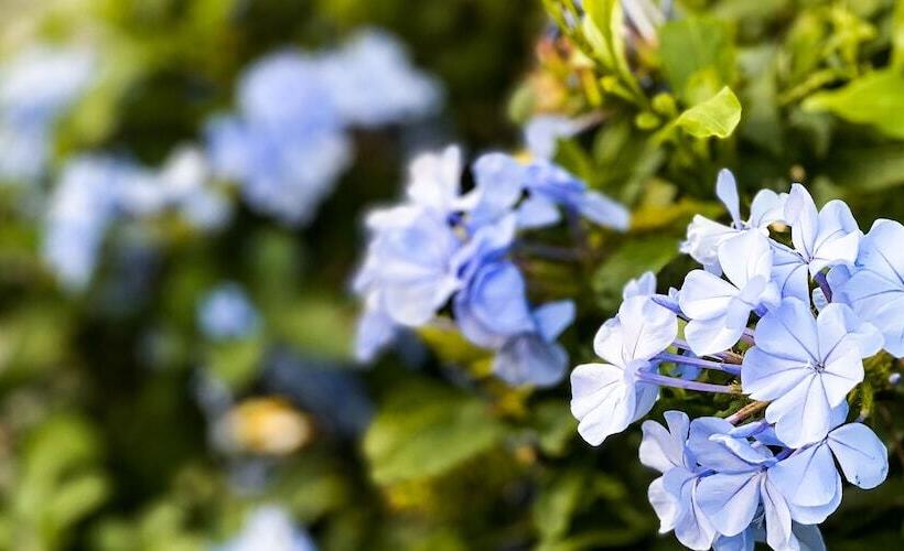 United Resort Yomitan