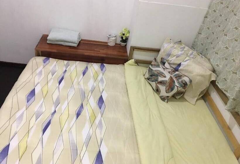 X Plorer Backpackers   Hostel