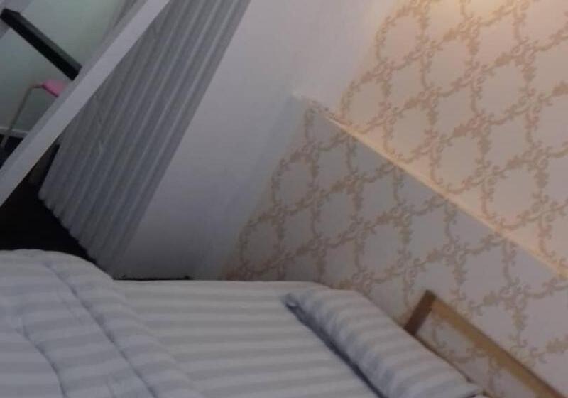 X Plorer Backpackers   Hostel