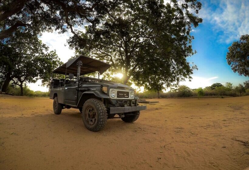 酒店 Ceylon Wild Safaris Yala