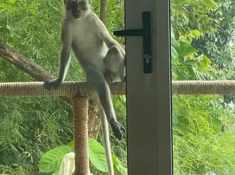 فندق Myrus Resort Langkawi