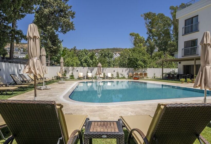 فندق Olive Tree Gündoğan