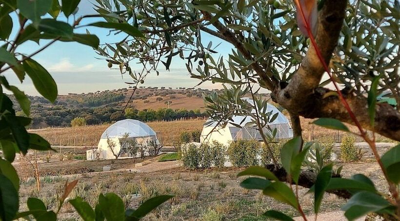 בית מלון כפרי Glamping Skies   Adults Only