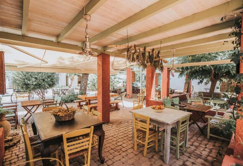 Saronis Hotel Agistri   Adults Only