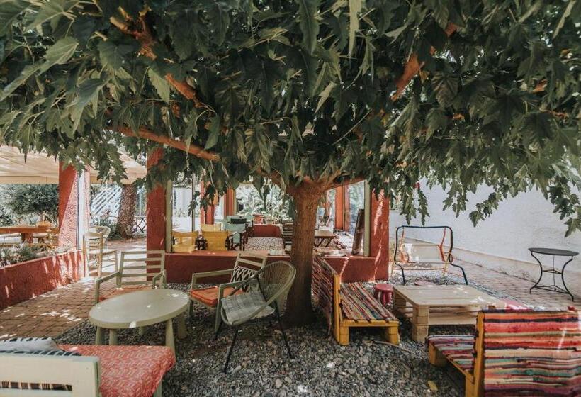 Saronis Hotel Agistri   Adults Only