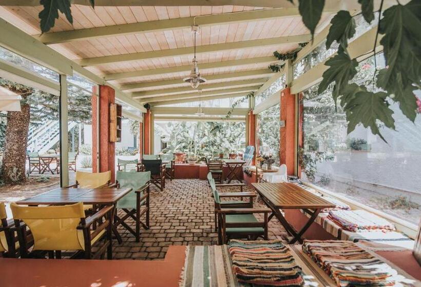 Saronis Hotel Agistri   Adults Only